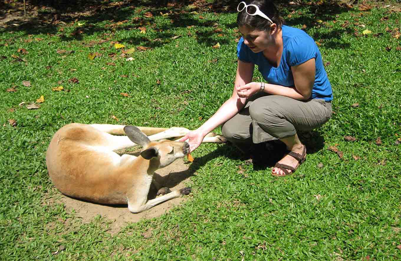 Darwin Wildlife Park: An Unforgettable Encounter with Australia’s Native Animals